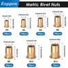 Eoppen 1000Pcs SAE & Metric Rivet Nuts Assortment Kit 6-32,