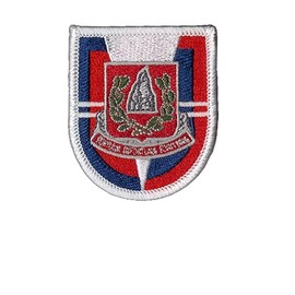 Bayonet Design - 37th Engineer (A) Embroidered Flash and Insignia Patch - Eagle Battalion - 2D Brigade Combat Team, 82d Airborne Division