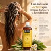 Biotin Essence Shampoo - Beauty Freedom - 480ml - Shampoo