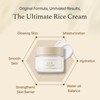 I'M From [I'm From] Rice Cream 1.69 Ounce, 41% rice