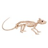 Crazy Bonez Skeleton - Rat Bonez