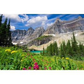 Tau Puzzles-500 Random Cut Pieces-Glacier Pond In Montana