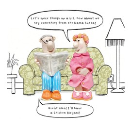 Model Family, Funny Birthday Card, Let's Spice Things Up a Bit, How About We Try Something from the Kama Sutra? Happy Birthday Card for Her, Generic Birthday Card