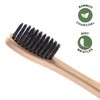 Greenzla Bamboo Toothbrushes for Adults – 12 Pack Wooden Toothbrush