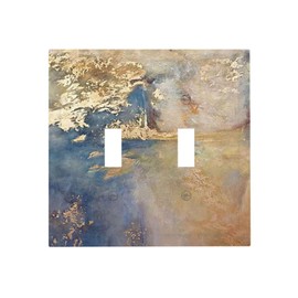 Wpshijia Minimalist Gold Abstract Texture 2 Gang Light Switch Plate Cover Double Toggle Wall Plate Decorative Switchplate Electrical Faceplate for Livingroom Bedroom Bathroom Decor