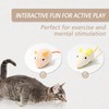 ASIRYVA 6 Pack Catnip Mouse Toys for Indoor Cats, Catnip