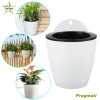 TecTech Plastic Self-Watering Plant Flower Pot Wall Hanging Garden Decoration