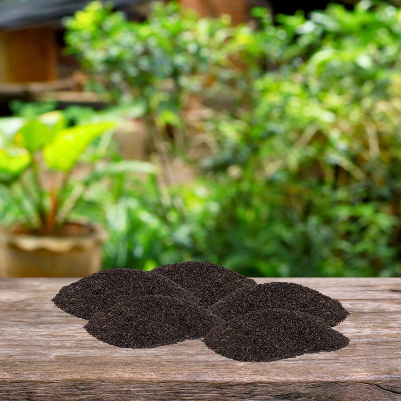 BestNest Nyjer Seed (Thistle Seed), 25 lbs.