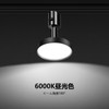 Duct Rail Light, 12 W, Equipped with LED, Large Light