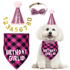 Dog Birthday Party Supplies, Dog Birthday Decorations with Birthday Girl Dog Bandanas/Dog Cat Birthday Hat/Dog Bow Tie/Collar with 0-8 Numbers, for Medium Small Dogs Pets (Large, Pink)