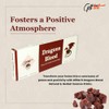 Giftbrit Dragons Blood Natural & Herbal Incense Sticks 100 Sticks