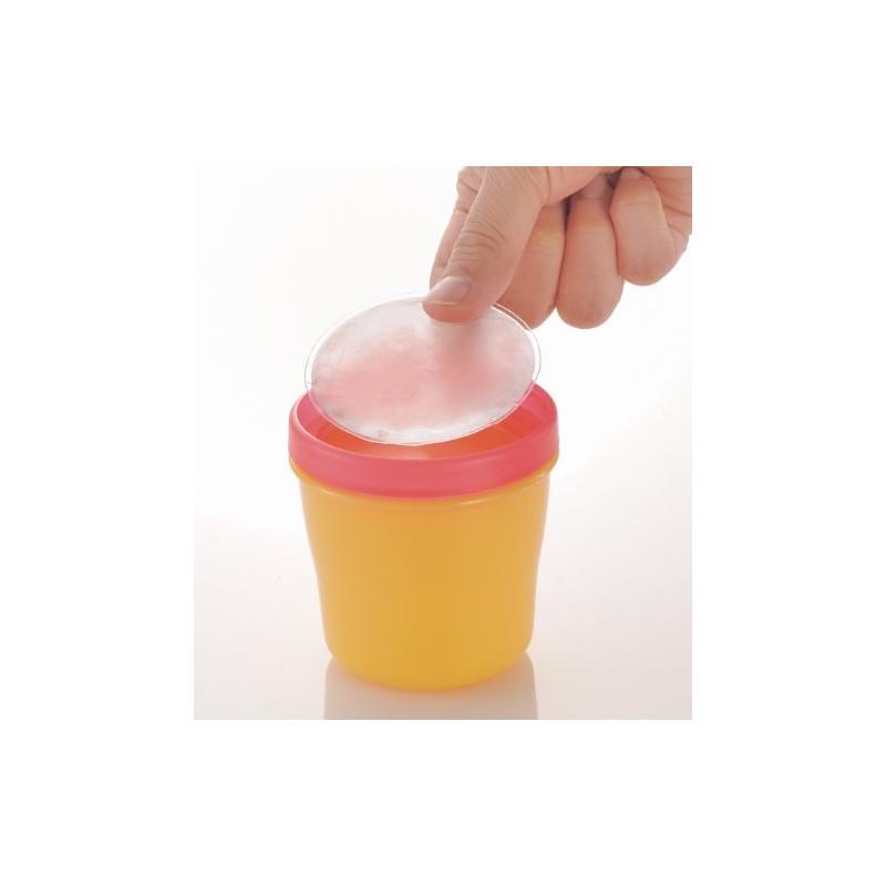 Richelle lunch outing-baby cool Bento box