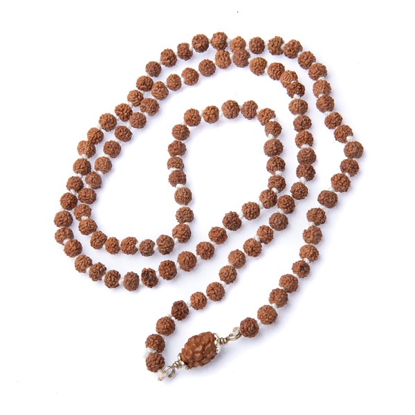 Authentic Rudraksha Mala-5 Bracelet, 108 + 1 Beads, No metal,