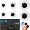 PETKNOWS 6 Pcs Giant Glow in The Dark Googly Wiggle