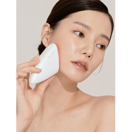 LED Care Skin Glowing Elasticity Improvement Cell Liner Skin Care Device / LED케어 피부광채 탄력개선 셀라이너 피부관리기