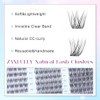 Lash Cluster Wispy 래쉬 클러스터 위스피 속눈썹 천연 CC-컬리 잔루플라이