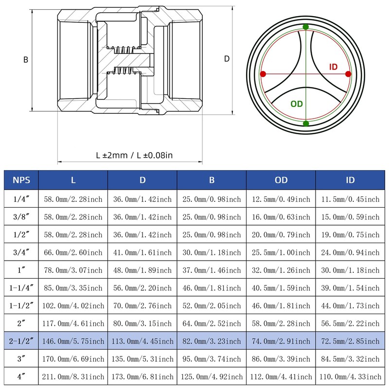 2-1/2" NPT Stainless Steel Spring Check Valve, WOG1000 NPT Thread