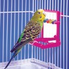 Penn-Plax Bird Life - Landing Perch with Mirror and Beads