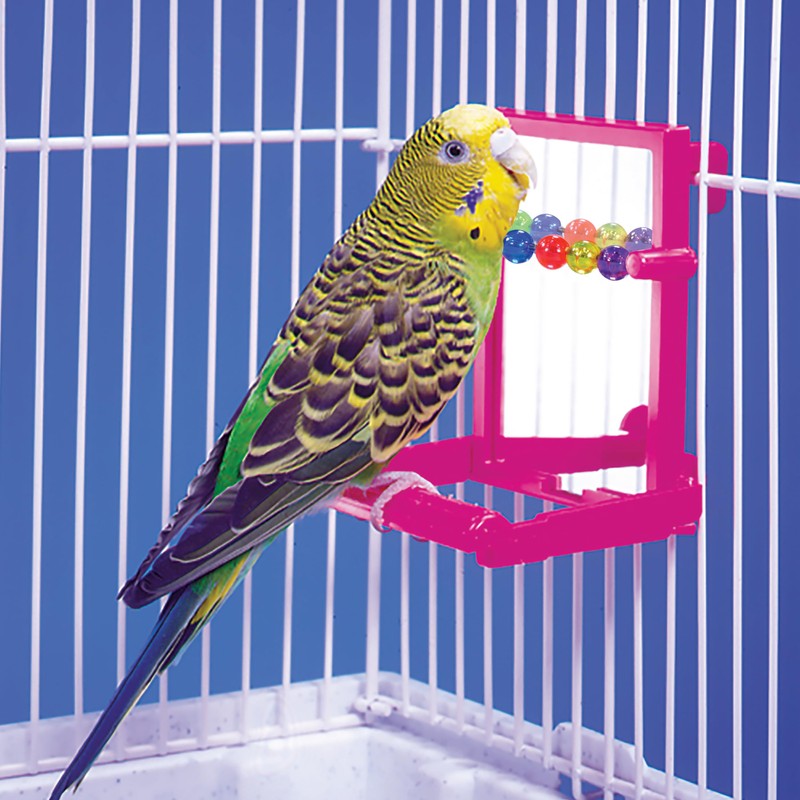 Penn-Plax Bird Life - Landing Perch with Mirror and Beads