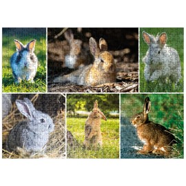 MyPuzzle Bunnies and Rabbits - Collage No. 2 - Premium 500 Piece Jigsaw Puzzle for Adults
