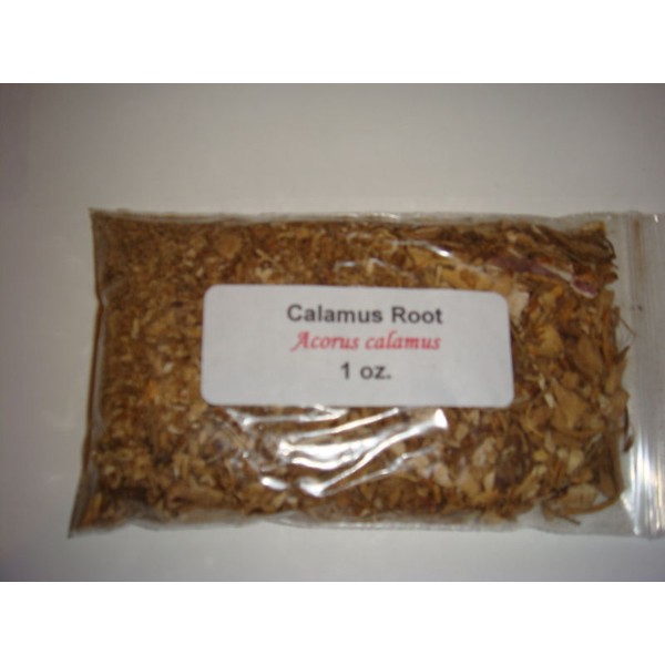 Calamus Root 1 oz. Calamus Root (Acorus Calamus) Sweetflag
