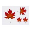 4 x 'Maple Leaf' Temporary Tattoos (TO00048155)