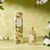 Airkeep Reed Diffuser Oil Set with Reed Sticks,Vanilla Aromatherapy Oil