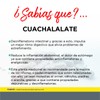 CUACHALALATE 150 CAPSULAS TECNONATURA