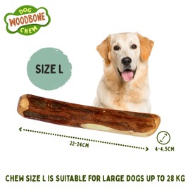 Woodbone Olive Wood Dog Chew Toy for Large Dogs - Natural Dental Chewing Stick - Set of 1 Size L