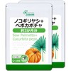 Lipsa C-106-2 Saw Palm + Peppo Pumpkins, Approx. 3 Months