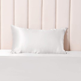 THXSilk 25 Momme Silk Pillowcase for Hair and Skin, Mulberry Silk Pillowcase, Hypoallergenic with Hidden Zip, Pure Silk on Both Sides