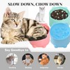 3PCS Slow feeder cat bowl,raised cat bow feeder for to