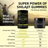 GWYNNE Shilajit Gummies Shilajit Puro Del Himalaya 85 Micronutrientes Apto