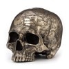 Veronese Design Bronze Finish Craniumography Old Treasure Map On Skull