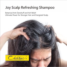 Chihtsai JOY Scalp Refreshing Shampoo (18.1oz/535ml) - For All Kinds of Hair, Dandruff Control
