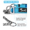 Dog Martingale Collar Chain, Half Check Dog Training Collar Reflective