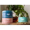 JusTea Herbal Tea Trio | Stacking Tins Variety Pack with