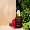 Jeju Dalm Pure Camellia Face Oil 25ml / 제주닮 퓨어