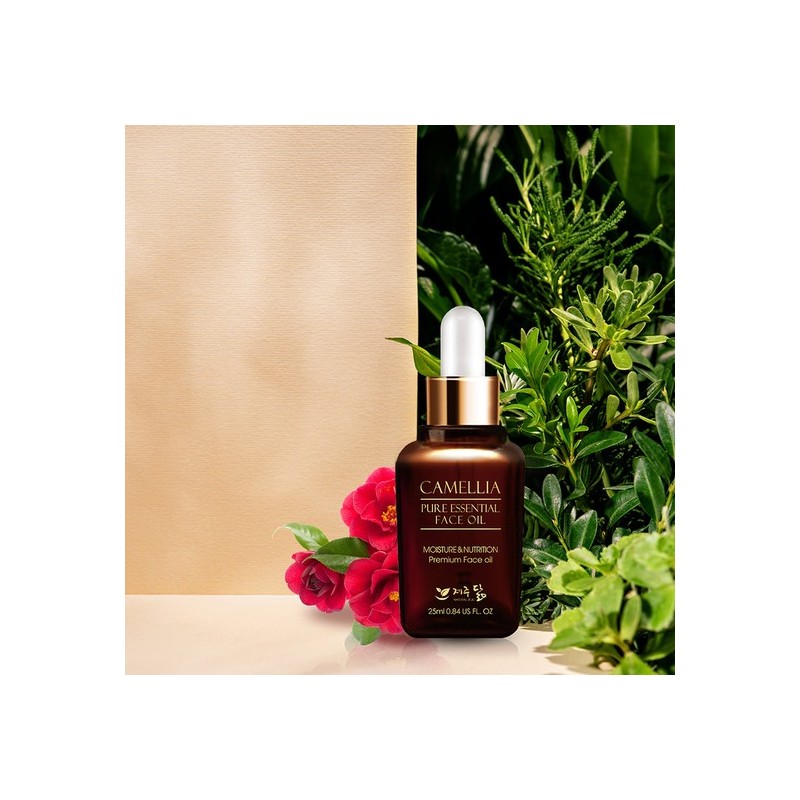 Jeju Dalm Pure Camellia Face Oil 25ml / 제주닮 퓨어