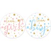 Twinkle Twinkle Little Star Gender Reveal Party - Team Boy