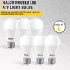Halco ProLed Led Light Bulbs A19 2 Non Dimmable, Frosted