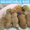 15Pcs Assorted Puppy Collars - Adjustable Kitten Collar for Whelping