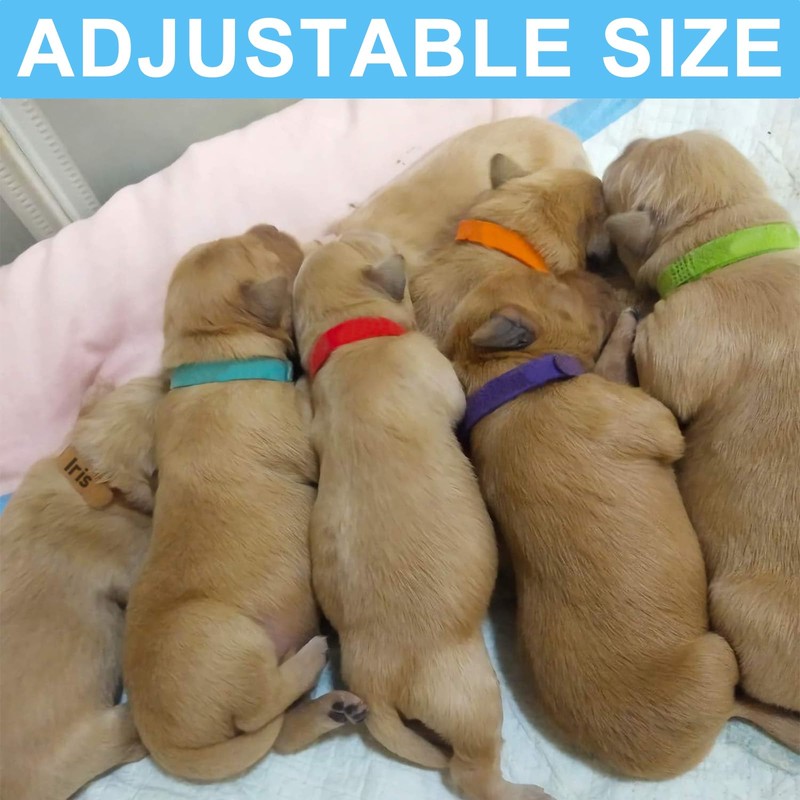 15Pcs Assorted Puppy Collars - Adjustable Kitten Collar for Whelping