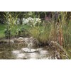 Pontec PondoSolar Lily Floating SOLAR fountain - Acres Aquatics