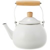 Wahei Freiz Cafe Blanc RB-1924 Kettle, Full Water, 0.6 gal