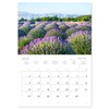 Lavender - The purple miracle flower (Monthly Wall Calendar 2025