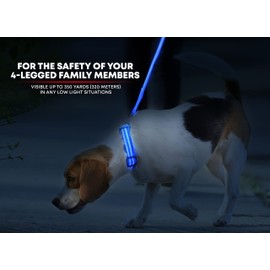 ILLUMISEEN LED Dog Collar USB Rechargeable - Bright & High Visibility Lighted Glow Collar for Pet Night Walking - Weatherproof, in 6 Colors & 6 Sizes (Blue Small)