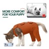Kuoser Dog Recovery Suit - Post Surgery Body Suit with