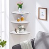 Raguso 3 Pieces Corner Floating Wall Shelf Shelf Furniture Home