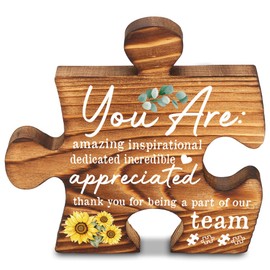 Appreciation gifts for Employee Coworker Team Member, Encouragement Thank you Gifts for Leader Work Bestie Colleague Team Mentor, Wooden Farmhouse Inspirational Decor Signs & Plaques-LMP11